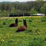 Mazurska Przystan Lötzen