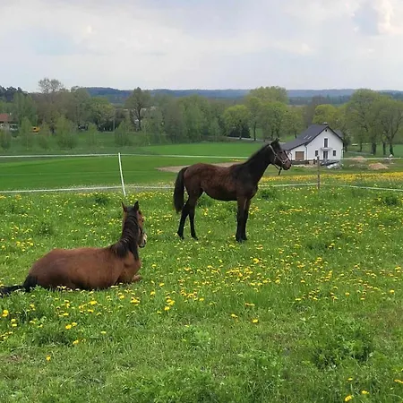빌라 Mazurska Przystan 기지크코