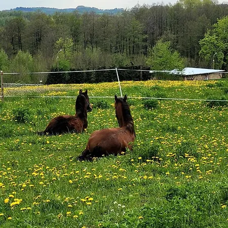 Mazurska Przystan Lötzen