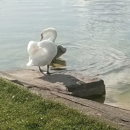 Mazurska Przystan 빌라