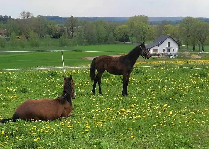 Villa Mazurska Przystan Giżycko