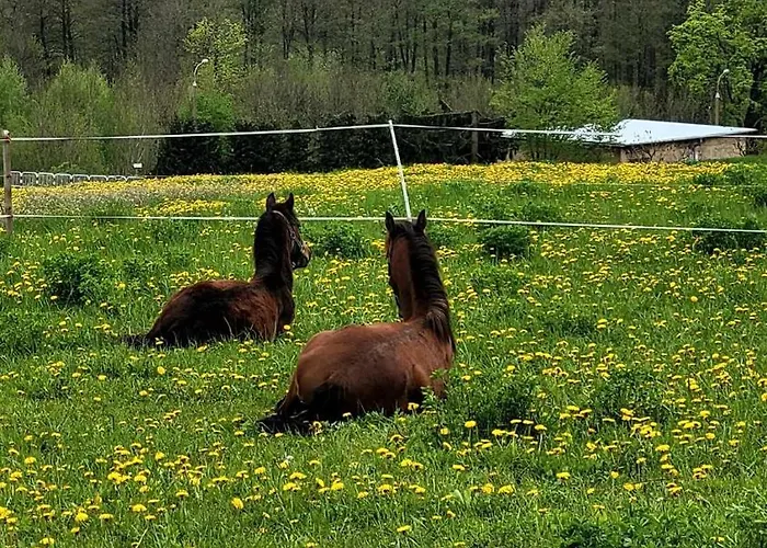 Mazurska Przystan Giżycko