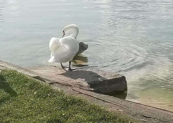 Mazurska Przystan Villa